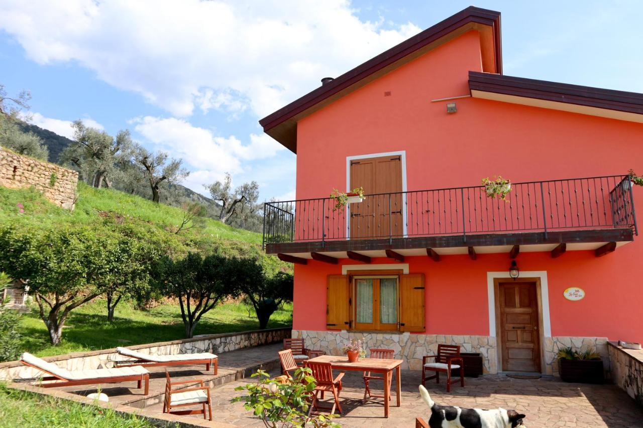 B&B La Casa Del Sole Controne Dış mekan fotoğraf