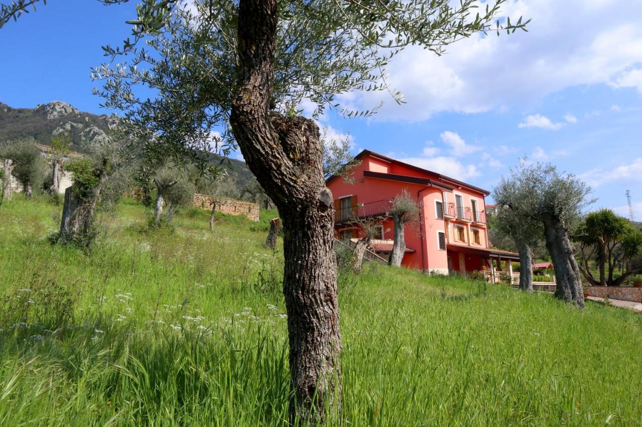 B&B La Casa Del Sole Controne Dış mekan fotoğraf